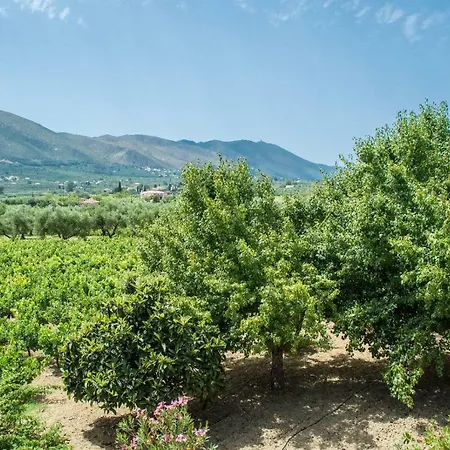 Paliorouga Zakynthos *