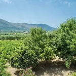 Paliorouga Zakynthos *